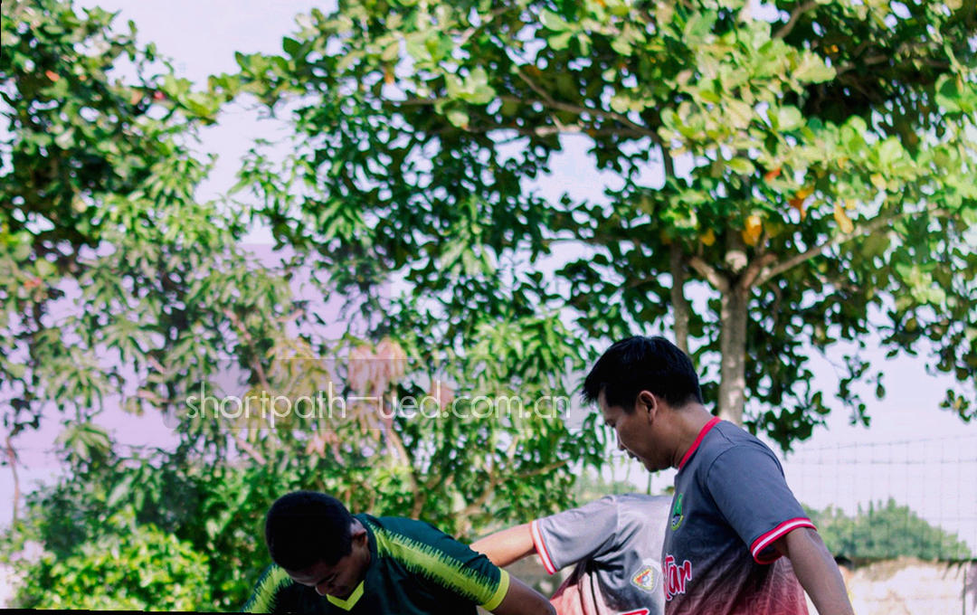 按批次与版本号两条纵向轨道排列的抽象检索图形